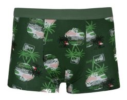 Bokserki Obcisłe, Zielone z Flamingiem Bawełniane, Majtki z Elastanem -ALTIES. Zielone bokserki męskie Alties, bez wzorów, z bawełny. Za 35.00 zł.