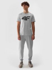 4F Spodnie dresowe joggery męskie - szare 3XL. Szare spodnie dresowe męskie 4f, bez wzorów, z bawełny. W wyprzedaży za 79.99 zł.