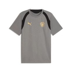 Koszulka Manchesteru City. Niebieskie t-shirty sportowe męskie Puma, l, z materiału, bez ramiączek, na fitness i siłownię. Za 246.50 zł.