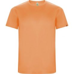 Męska Koszulka Sportowa Imola Z Krótkim Rękawem. Brązowe t-shirty sportowe męskie ROLY, l, bez ramiączek, trekkingowe. Za 34.99 zł.
