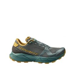 Buty biegowe Dynafit Ultra 100 GTX Szare. Szare obuwie do biegania damskie Dynafit. Za 880.55 zł.
