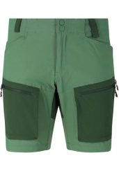 Szorty Whistler Kodiak. Brązowe szorty sportowe męskie WHISTLER, xl, z materiału, trekkingowe. Za 322.00 zł.