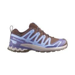 Obuwie Biegi w terenie Kobiety XA PRO 3D V9 GORE-TEX. Brązowe obuwie do biegania damskie Salomon. Za 729.00 zł.