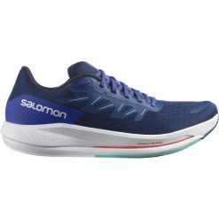 Buty do biegania męskie Salomon Spectur. Niebieskie obuwie do biegania damskie Salomon. Za 613.00 zł.