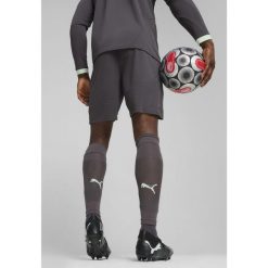 Męskie szorty AC Milan 24/25 PUMA Shadow Gray Fresh Mint Green. Szare szorty męskie Puma, bez kołnierzyka. W wyprzedaży za 134.00 zł.