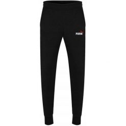 Spodnie Puma ESS 2 Col Logo Pants TR cl, Mężczyźni. Czarne spodnie sportowe męskie Puma, z bawełny. W wyprzedaży za 190.00 zł.