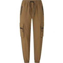 Spodnie do biegania Whistler Portus. Brązowe spodnie materiałowe męskie WHISTLER, bez wzorów, z dresówki. Za 277.50 zł.