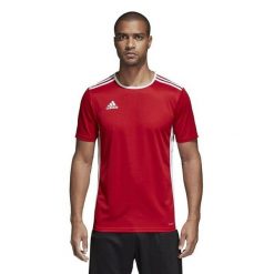 Koszulka piłkarska męska adidas Entrada 18 Jersey. Białe t-shirty sportowe męskie Adidas, m, z jersey, bez ramiączek, do piłki nożnej. Za 49.00 zł.
