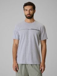 4F T-shirt regular z nadrukiem męski - szary 3XL. Szare t-shirty męskie 4f, m, bez wzorów, z bawełny, bez kołnierzyka. Za 59.99 zł.