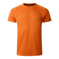 T-shirt Męski Niska Waga Accelerate. Brązowe t-shirty męskie Dare 2b, m, bez wzorów, bez kołnierzyka. Za 45.99 zł.