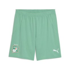 Męskie szorty Wybrzeże Kości Słoniowej 2025 PUMA Jade Frost White Green. Białe szorty męskie Puma, bez kołnierzyka. Za 199.00 zł.