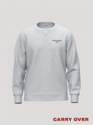Bjorn_borg BORG ESSENTIAL 1 bluza z recyklingowanego poliestru – LIGHT GREY. Szare bluzy bez kaptura męskie Björn Borg, m. Za 291.00 zł.