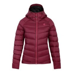 Kurtka Damska Torrek Baffled Padded Jacket. Fioletowe kurtki damskie Dare 2b, xl, bez wzorów, z puchu, bez kaptura. Za 343.99 zł.