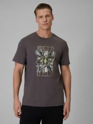 4F T-shirt regular z nadrukiem męski - szary 3XL. Szare t-shirty męskie 4f, m, bez wzorów, z dzianiny, bez kołnierzyka. Za 69.99 zł.