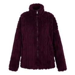 Bluza Polarowa Damska Pełen Suwak Alaiya. Fioletowe bluzy bez kaptura damskie Regatta, z polaru. Za 138.99 zł.
