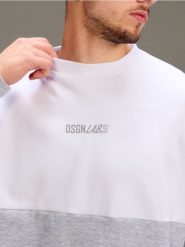 Bawełniana bluza crewneck z napisem - szary. Szare bluzy bez kaptura męskie Sinsay, l, z bawełny. Za 49.99 zł.