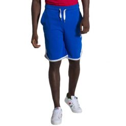 Letnie szorty męskie Basic. Niebieskie szorty męskie LEONE 1947 APPAREL, l, z tkaniny, na fitness i siłownię. Za 98.51 zł.