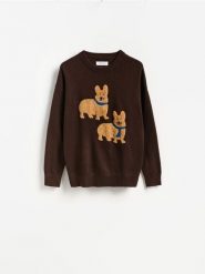 Sweter z wyszywanym wzorem - brązowy. Brązowe swetry męskie Reserved, l, bez wzorów, z dzianiny, bez kołnierzyka. Za 149.99 zł.