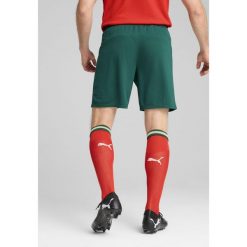 Męskie szorty Portugalia 2025 PUMA Blessing Green Sugared Almond Beige. Brązowe szorty męskie Puma, bez kołnierzyka. Za 199.00 zł.