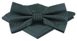 Mucha Męska w Zestawie z Poszetką - Alties - Zieleń, Groszki. Zielone krawaty i muchy męskie Alties, bez wzorów, eleganckie. Za 65.00 zł.