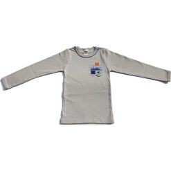 Koszulka w kolorze szarym. Szare t-shirty chłopięce Absorba & DIM, bez wzorów, z bawełny, bez ramiączek. W wyprzedaży za 19.95 zł.