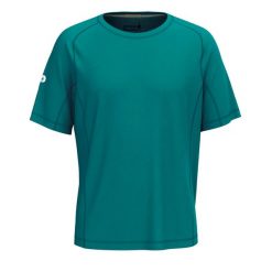 Koszulka Smartwool Active Ultralite. Zielone t-shirty sportowe męskie Smartwool, m, z materiału, bez ramiączek, trekkingowe. Za 259.50 zł.