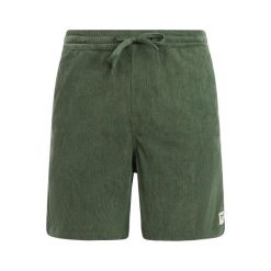 Protest PRTUleyo shorts - Thyme. Zielone szorty męskie Protest, bez wzorów. Za 290.50 zł.
