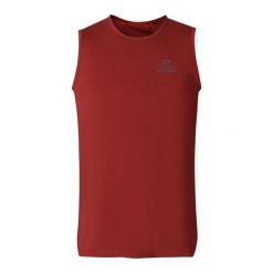 Koszulka męska sportowa bez rękawów szybkoschnąca Alpine Pro Gelad 2. Czerwone t-shirty sportowe męskie Alpine Pro, m, bez ramiączek. W wyprzedaży za 59.00 zł.