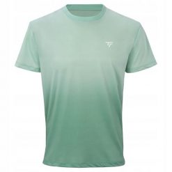 Męska koszulka tenisowa Tecnifibre T-Shirt X-Loop Tee. Zielone t-shirty męskie TECNIFIBRE, m, bez wzorów, bez kołnierzyka. Za 214.99 zł.