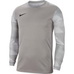 Bluza bramkarska męska Nike Dry Park IV JSY LS GK. Szare bluzy bez kaptura męskie Nike, m. Za 181.62 zł.