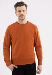 Gładka bluza B-TERON. Brązowe bluzy bez kaptura męskie Volcano, m, z bawełny. Za 149.99 zł.