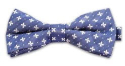 Niebieska Mucha w Drobne Krzyżyki, Męska. Niebieskie krawaty i muchy męskie Vernon, bez wzorów, eleganckie. Za 29.00 zł.
