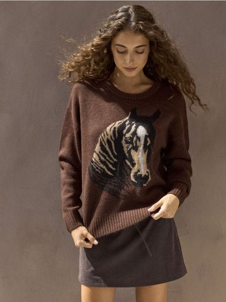 Dzianinowy sweter z motywem konia - brązowy. Brązowe swetry klasyczne damskie Sinsay, l, z dzianiny, bez kołnierzyka. Za 59.99 zł.