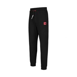 Spodnie dresowe damskie DIADORA L. JOGGER PANT URBANITY S. Czarne spodnie sportowe damskie Diadora, l, z dresówki. Za 109.99 zł.