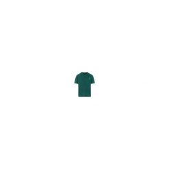 Protest PRTGeoff t-shirt - Dark Teal. Zielone t-shirty męskie Protest, bez wzorów, bez kołnierzyka. Za 291.50 zł.