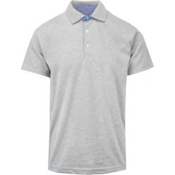 Koszulka POLO, Casualowa, Szara Męska, Krótki Rękaw, Jednokolorowa, T-shirt -EXPOMAN. Szare koszulki polo męskie Expoman, l, bez wzorów, z bawełny, bez ramiączek. Za 109.00 zł.
