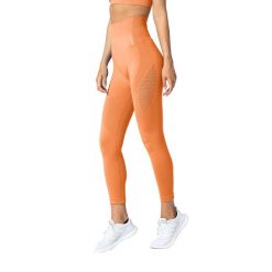 Legginsy bezszwowe damskie Carpatree Phase Seamless. Brązowe legginsy damskie Carpatree, xs, bez wzorów, na fitness i siłownię. Za 92.99 zł.
