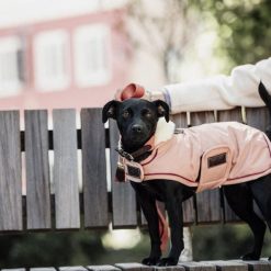 Kurtka dla psa wodoodporna Kentucky 160g. Brązowe kurtki męskie KENTUCKY HORSEWEAR, na zimę, s, bez wzorów, ze skóry. Za 442.00 zł.