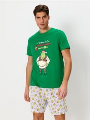 Piżama dwuczęściowa Shrek - zielony. Zielone piżamy męskie Sinsay, l, bez wzorów, z gumy, bez ramiączek. Za 49.99 zł.