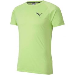 Koszulka do piłki nożnej męska Puma Rtg Tee Sharp. Zielone t-shirty sportowe męskie Puma, m, z materiału, bez ramiączek, na fitness i siłownię. Za 79.87 zł.
