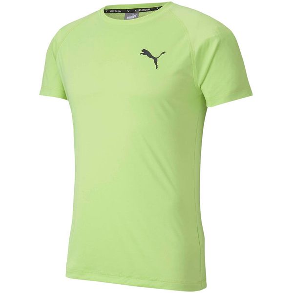 Koszulka do piłki nożnej męska Puma Rtg Tee Sharp. Czarne t-shirty sportowe męskie Puma, m, z materiału, bez ramiączek, na fitness i siłownię. Za 79.87 zł.