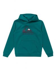 Bluza z kapturem dla Chłopcy BIG LOGO. Zielone bluzy z kapturem męskie Quiksilver, m, z bawełny. Za 205.20 zł.
