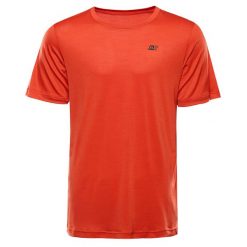 Koszulka męska turystyczna szybkoschnąca Alpine Pro Basik. Zielone t-shirty sportowe męskie Alpine Pro, l, z elastanu, bez ramiączek, na fitness i siłownię. Za 109.00 zł.