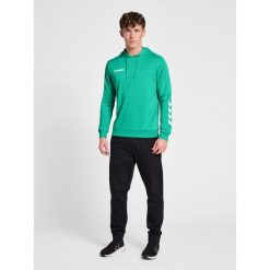 Bluza do piłki ręcznej męska Hummel hml PROMO Poly z kapturem. Zielone bluzy z kapturem męskie HUMMEL, m. Za 156.00 zł.