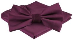 Mucha Męska z Poszetką w Zestawie - Alties - Fioletowo-Bordowa. Czerwone krawaty i muchy męskie Alties, bez wzorów, eleganckie. Za 65.00 zł.