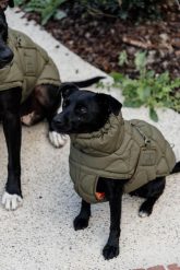 Płaszcz dla psa Kentucky Pina. Niebieskie płaszcze męskie KENTUCKY HORSEWEAR, na jesień, l, bez wzorów, z gumy. Za 578.50 zł.
