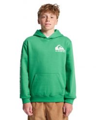 Bluza z kapturem dla Chłopcy OMNI LOGO Zielony. Zielone bluzy z kapturem męskie Quiksilver, m, z bawełny. Za 95.00 zł.