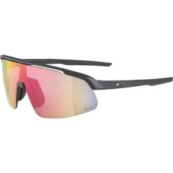 Okulary przeciwsłoneczne Alpina Turbo Pro S Q-Lite. Czarne okulary przeciwsłoneczne damskie Alpina. Za 339.99 zł.