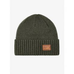 Czapka zimowa Patagonia Brodeo Beanie - skyline pine needle green. Zielone czapki męskie Patagonia, na zimę, bez wzorów, sportowe. Za 134.99 zł.
