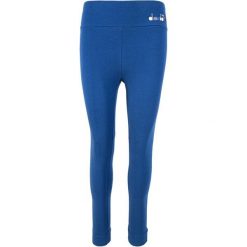 Legginsy damskie DIADORA L.LEGGINGS SPOTLIGHT. Fioletowe legginsy damskie Diadora, l, bez wzorów, z bawełny. Za 49.99 zł.